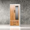 Metal Cabinet Wardrobe – LT-0249-WD
