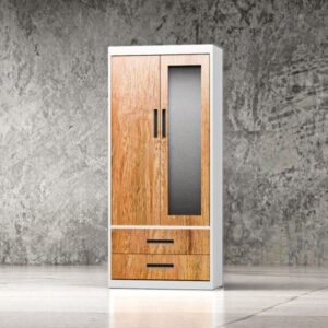 Metal Cabinet Wardrobe – LT-0249-WD