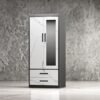 Metal Cabinet Wardrobe – LT-0251-WD