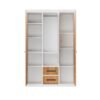 Metal Cabinet Wardrobe – LT-0294-WD