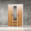 Metal Cabinet Wardrobe – LT-0294-WD