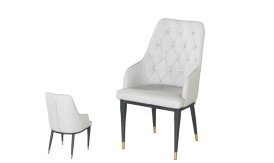 C-180_G Dining Chair – C-180(G)